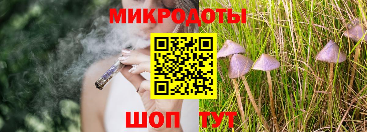 Псилоцибиновые грибы мицелий Елабуга